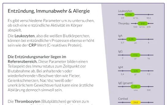 Derselbe Befund mit previmo: Organgruppe „Entzündung, Immunabwehr & Allergie“ mit verständlicher Erklärung und farblich bewerteten Werten wie Leukozyten, IgA und Cortisol