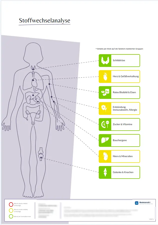 Seite eines previmo-Patientenberichts: Körperschema mit acht farblich bewerteten Organgruppen — Schilddrüse, Herz & Gefäße, Rotes Blutbild & Eisen, Entzündung, Zucker & Vitamine, Bauchorgane, Niere & Mineralien, Gelenke & Knochen