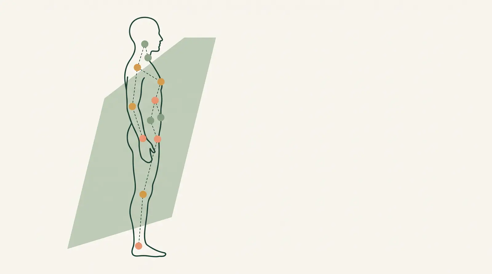 Illustration eines Körperumrisses mit farbigen Punkten je Organsystem, verbunden durch feine Linien